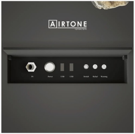 Биокамин Airtone-ORB Log по цене 425 000 руб.
